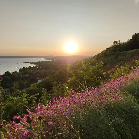 Akarattya Endless Summer Woodhouse * Balatonakarattya